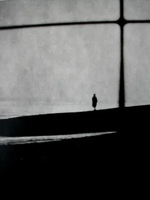 Monochrome Silhouette Landscape