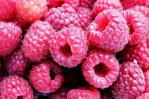 Close-up of fresh raspberries, minimal, photographic, vibrant