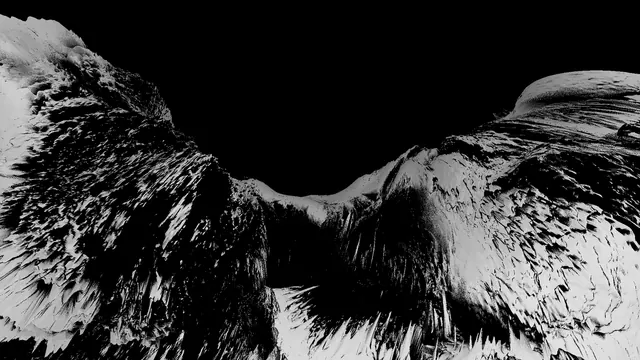 Monochrome Eagle Wings