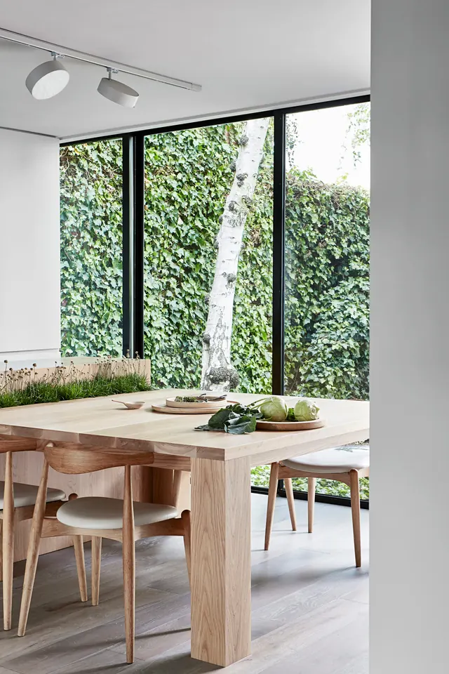 Scandinavian dining room ivy window, minimal, organic, light