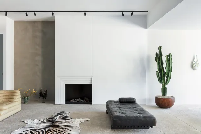 Minimal living room with cactus and daybed, minimal, photographic, light