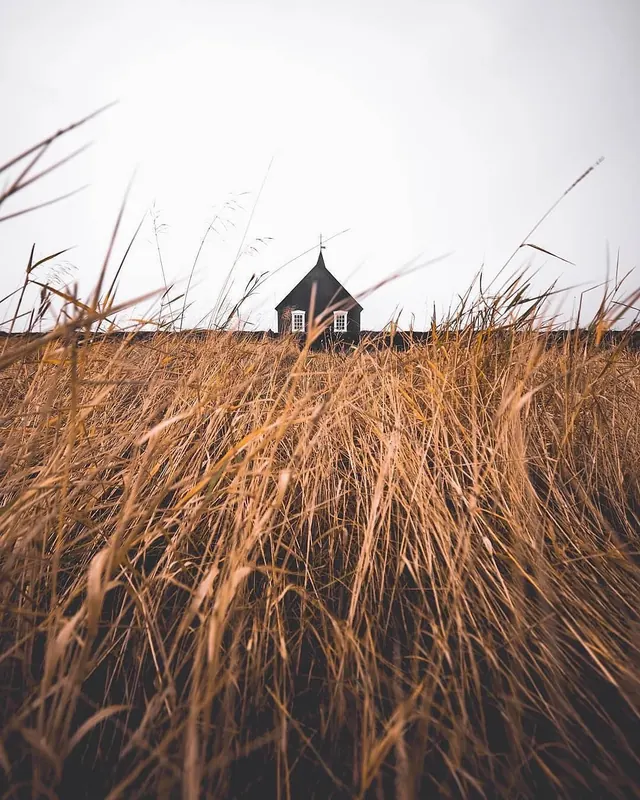Cabin in Tall Grass
