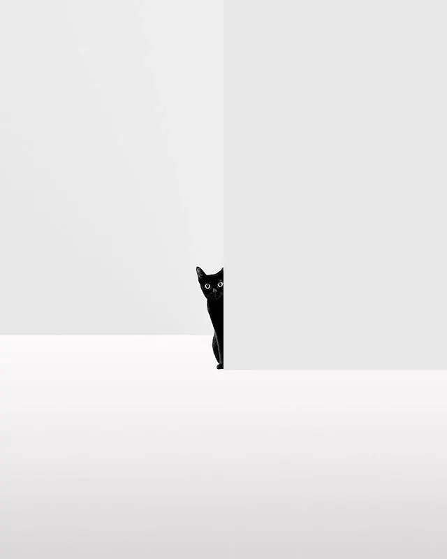 Minimalist Silhouette Composition