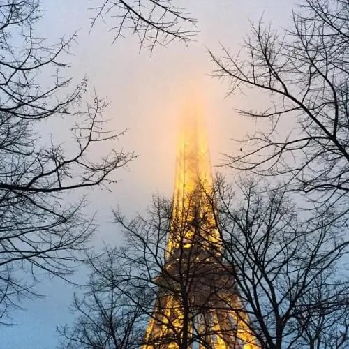 Eiffel Tower through Winter Trees