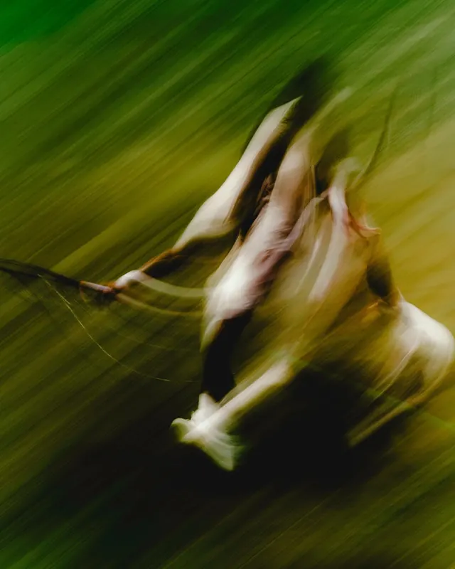 Motion Blurred Figure