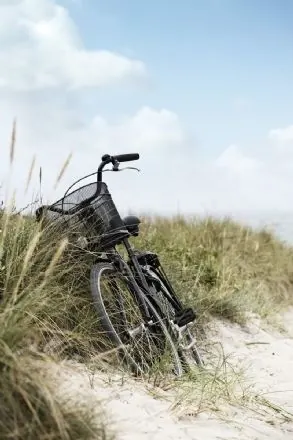 Mountain Bike in Sand Dunes