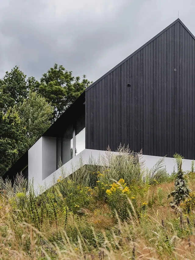 Modern Black Architecture with Wild Grassland
