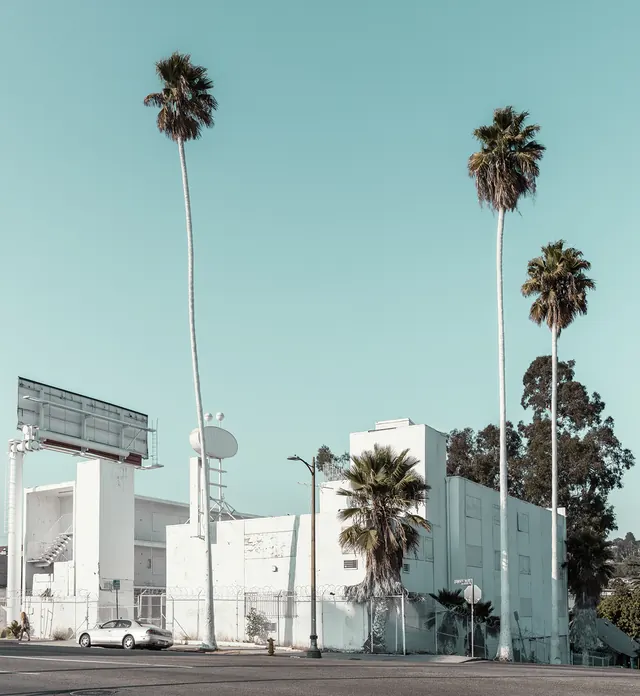 Palm Tree Architecture