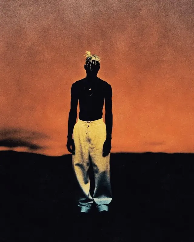 Silhouette in Orange Landscape