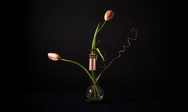 Tulip in Vase Still Life