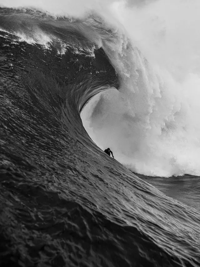 Surfer in a Barrel