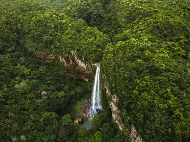 Lush Tropical Waterfall