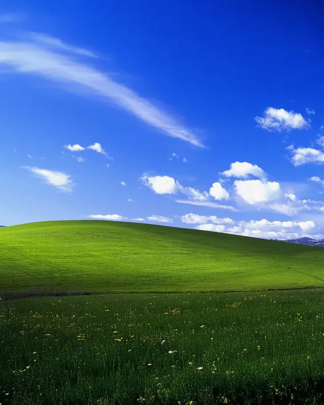 Green Hill Landscape
