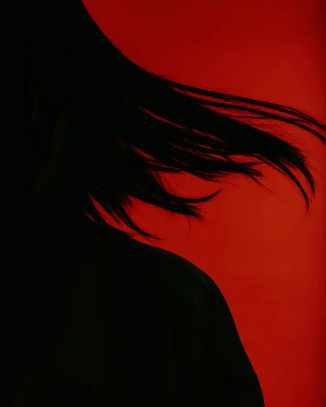 Silhouette against red background