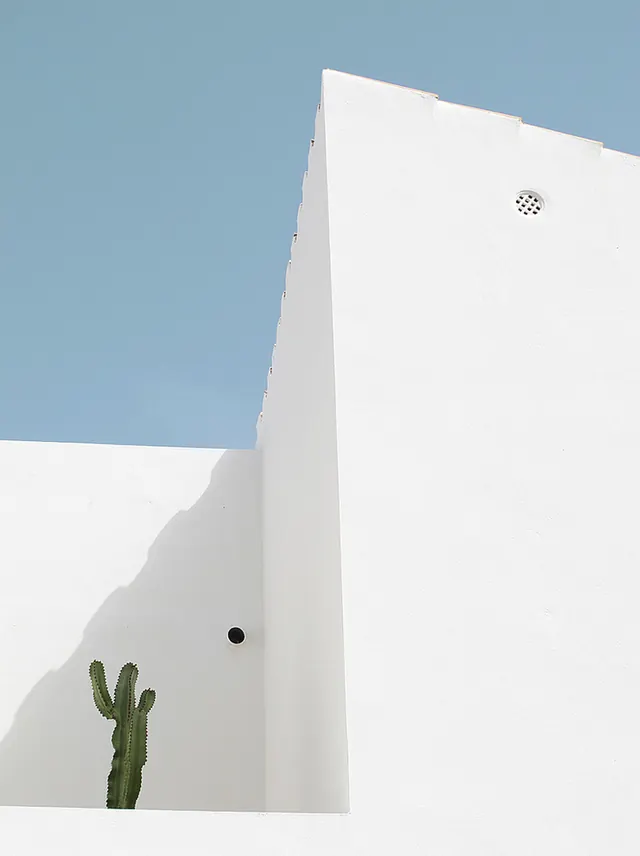 Minimalist Architecture and Cactus