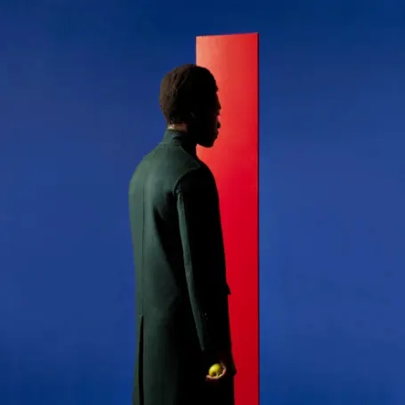 Profile in Blue and Red