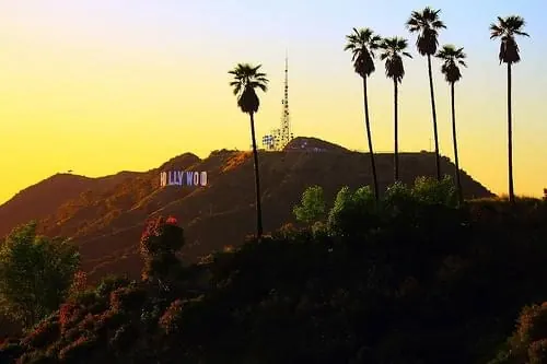 Sunset Landscape with Palm Trees