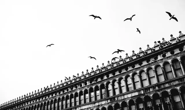Architectural Perspective with Birds