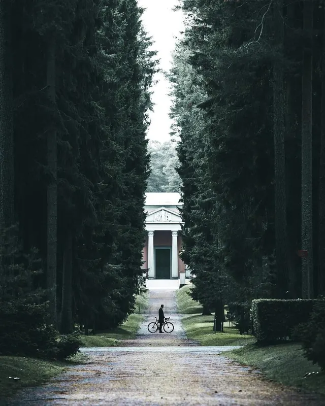 Tree-Lined Path to Building