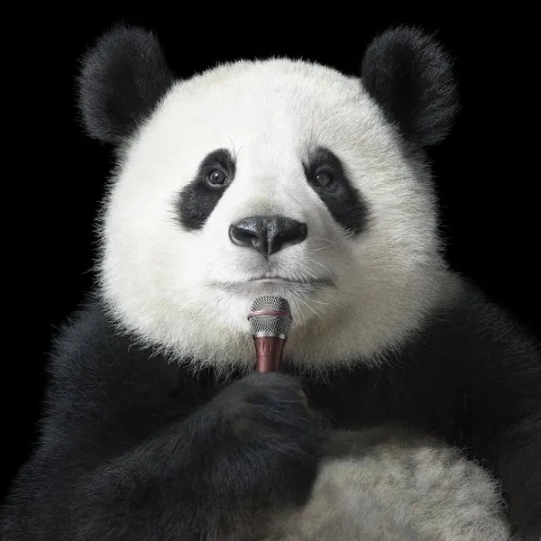 Panda with Microphone