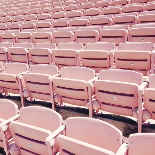 Pink Cinema Seating