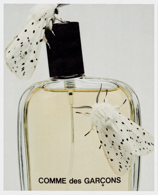Comme des Garçons Fragrance Bottle