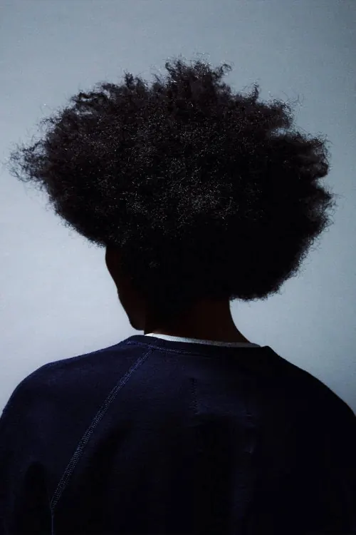 Portrait of a Person with Afro Hair