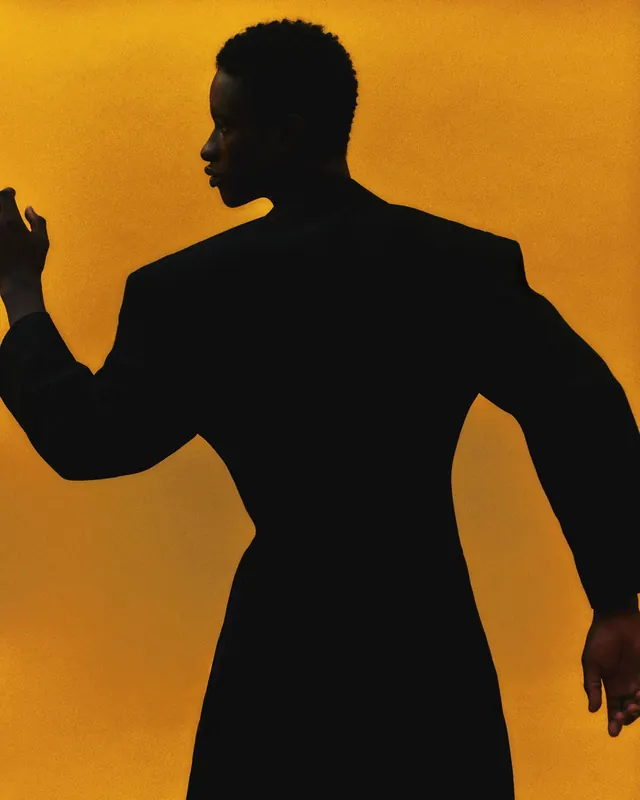 Silhouette Portrait in Yellow