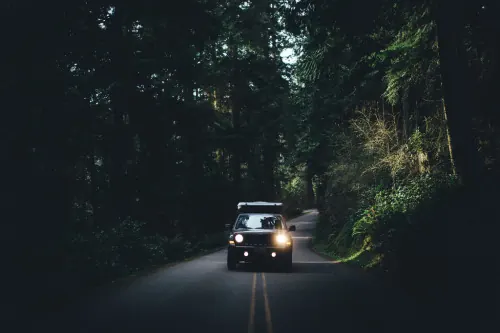 Night Forest Road with Vehicle