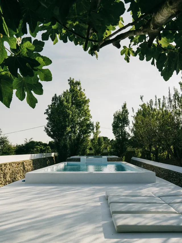 Outdoor Pool and Lounge Area
