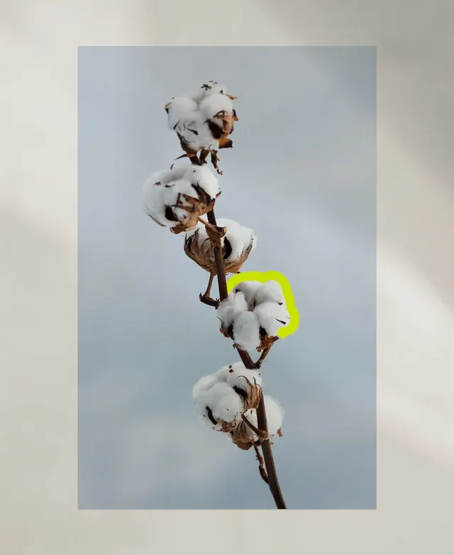 Cherry Blossom Branch with Neon Accent