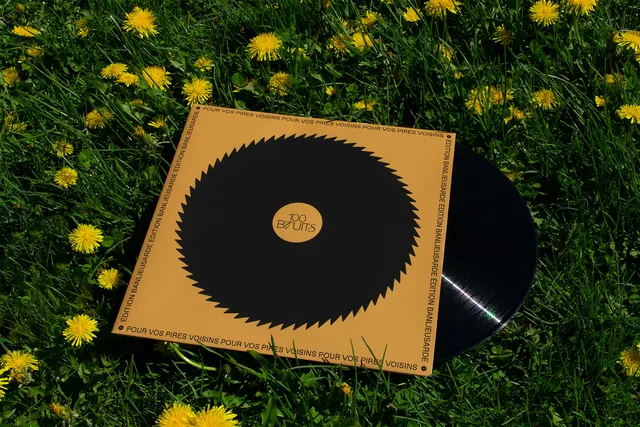 Vinyl Record on Grass