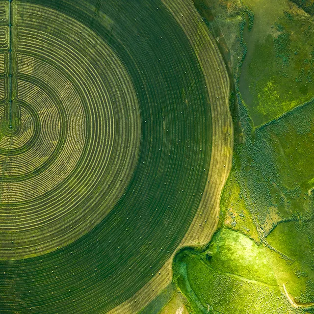 Aerial Crop Circles