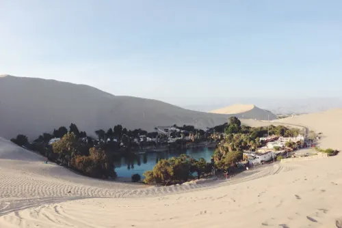 Desert Oasis Architecture