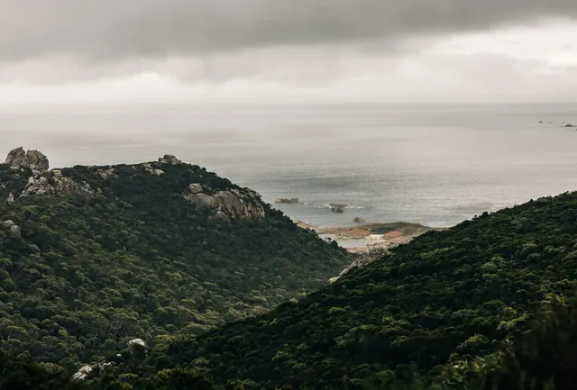Foggy Coastal Landscape