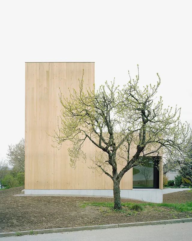 Modern Architectural Structure with Tree