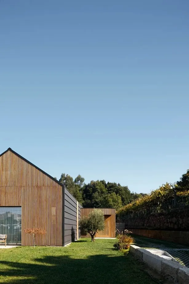 Modern Wood Architecture Exterior
