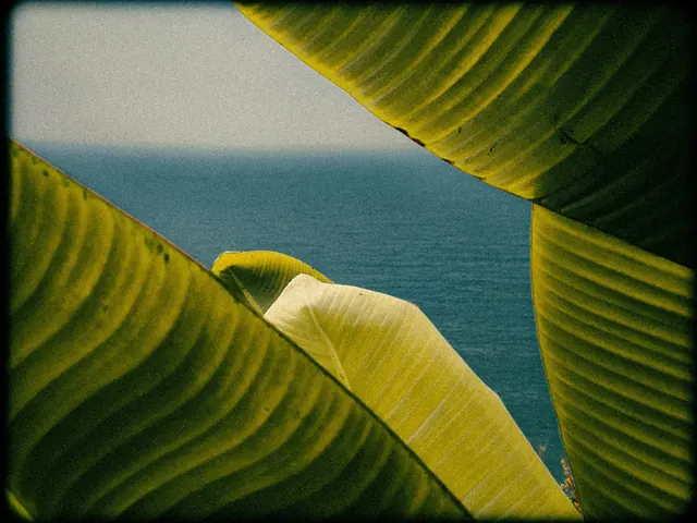 Tropical Leaf Macro
