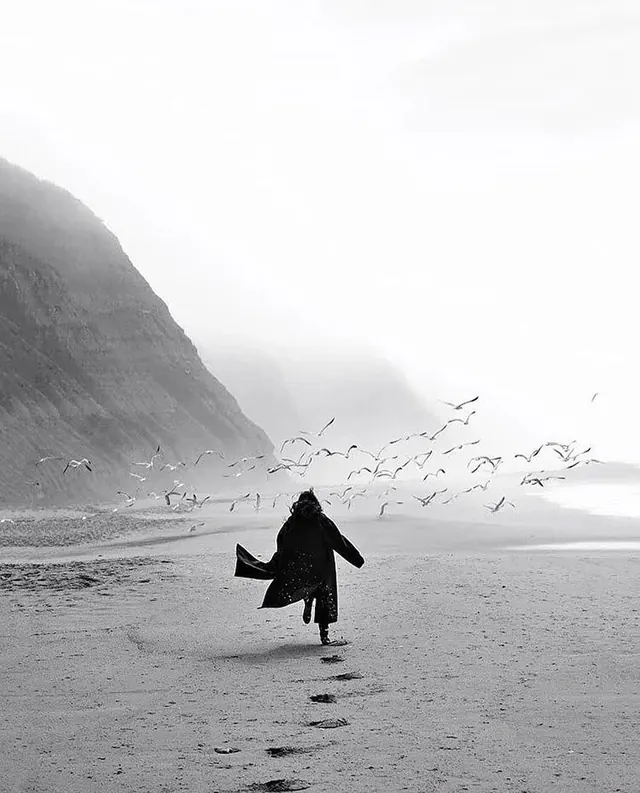 Monochrome Beach Landscape