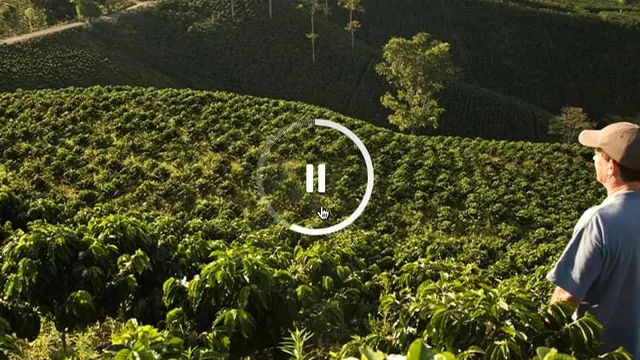 Tea plantation landscape with pause overlay, photographic, vibrant