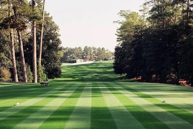 Striped Lawn Landscape