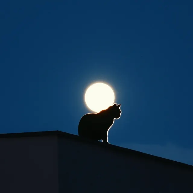 Silhouette of a Dog Against a Full Moon