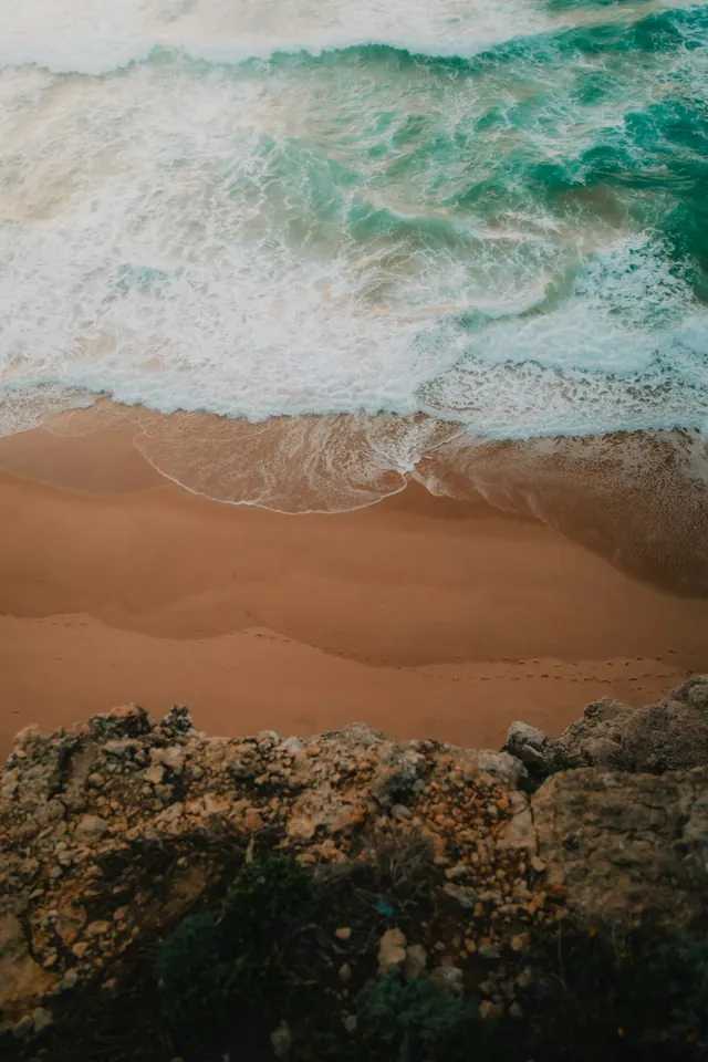 Ocean Shore Landscape