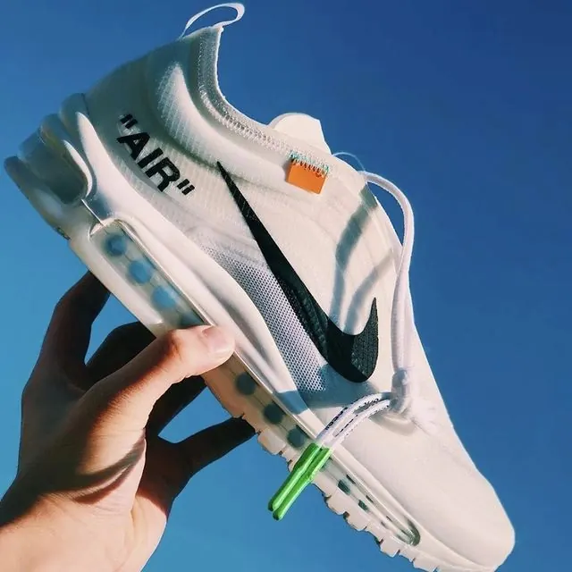 Nike Air Max Sneakers Product Shot