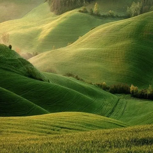 Rolling Green Hills Landscape