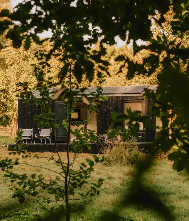 Rustic Cabin in Autumn Forest