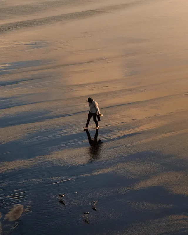 Person Walking on Wet Sand