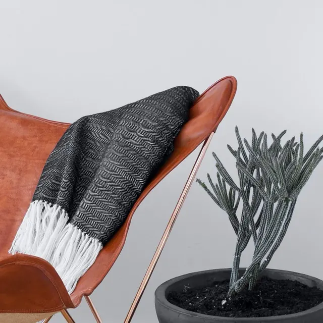 Interior Still Life with Leather Chair and Plant