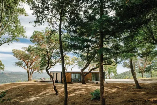 Modern Cabin in Forest