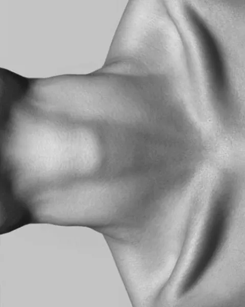 Neck and Collarbone Study, minimal, editorial, monochrome